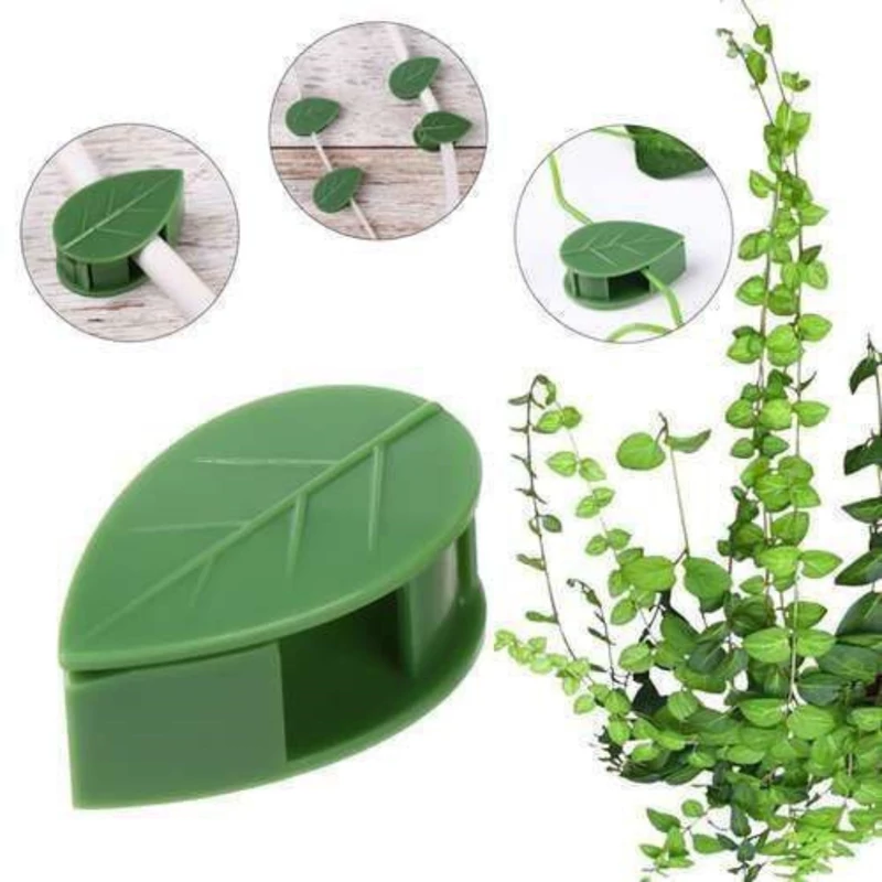گیره نگهدارنده گل
