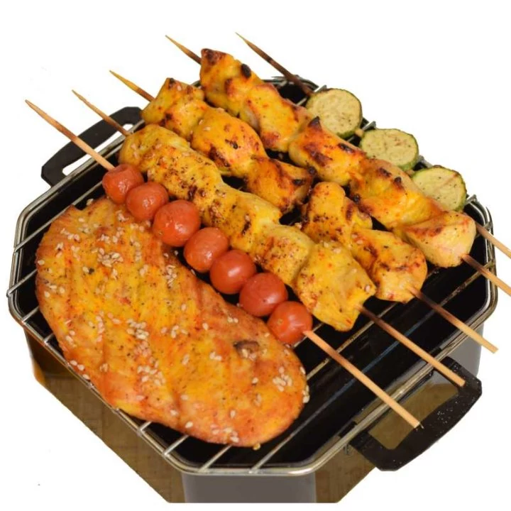 کباب پز حرفه ای روگازی مدل چندکاره