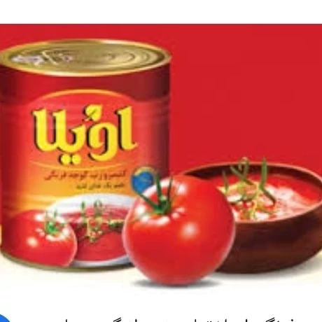 رب گوجه فرنگی غلیظ آویلا وزن 400 گرم طبیعی بدون موادافزودنی